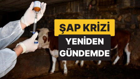 Kars ve Ardahan’da Başlayan Hastalık Artvin’e de Sıçradı: Üretici ve Tüketiciler Telaşlı