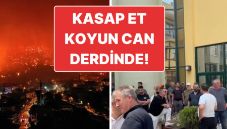 Orman Yangını Sonrası Av Yasağı Gelmişti: Avcılar Yasağın Kalkması İçin Aksiyon Yaptı