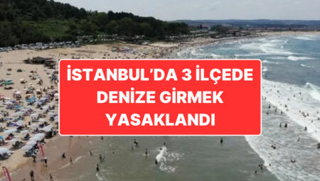 Orman Yangınları İçin Büyük Tehlike: Meteoroloji’den Marmara ve Ege İçin Fırtına Uyarısı