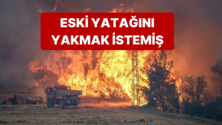 Sakarya’daki Yangının Sebebi Duyanlara “Pes” Dedirtti