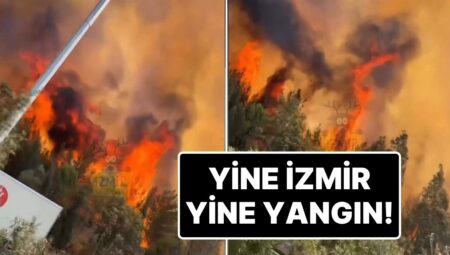 Tekrar İzmir Tekrar Yangın: Bornova’da Orman Yangını Çıktı, Etraf Yolu Trafiğe Kapatıldı