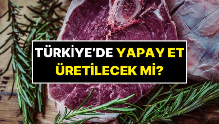 Türkiye’de Yapay Et Üretilecek mi? Resmi Açıklama Geldi