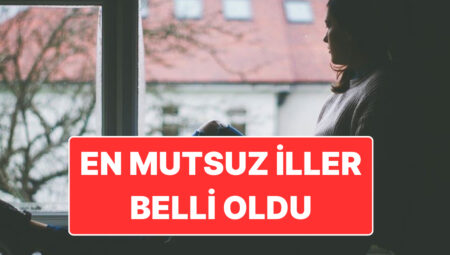 Türkiye’nin En Mutsuz İli Belirli Oldu: TÜİK’ten Hayat Memnuniyeti Araştırması
