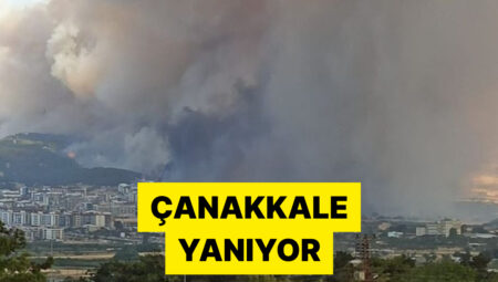 Üniversite ve Hastane Boşaltılıyor! Çanakkale’de Başlayan Orman Yangını Yerleşim Yerlerine Yaklaştı